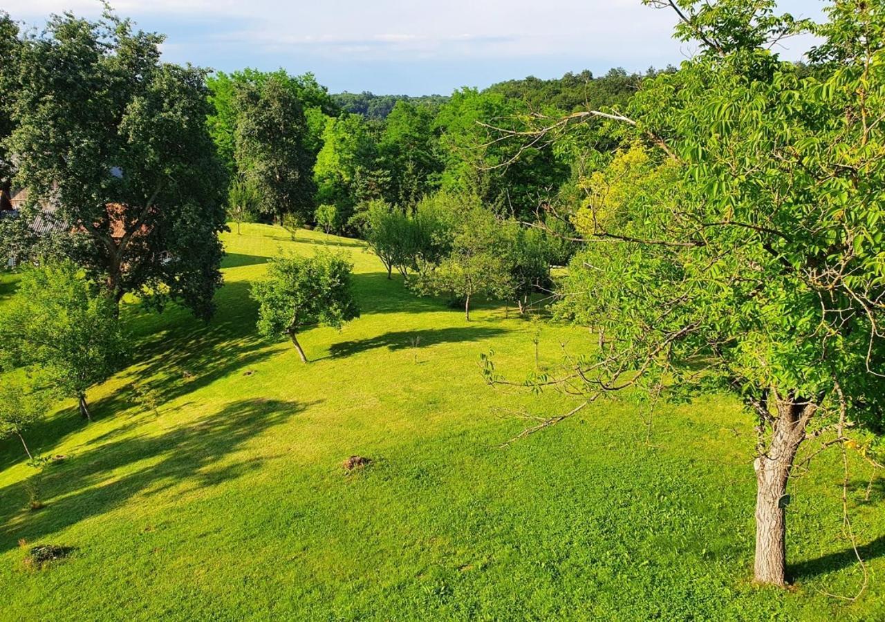 Green Eden Gornji Zvečaj Dış mekan fotoğraf