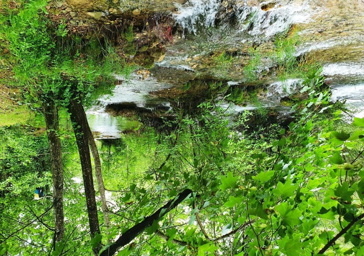 Green Eden Gornji Zvečaj Dış mekan fotoğraf
