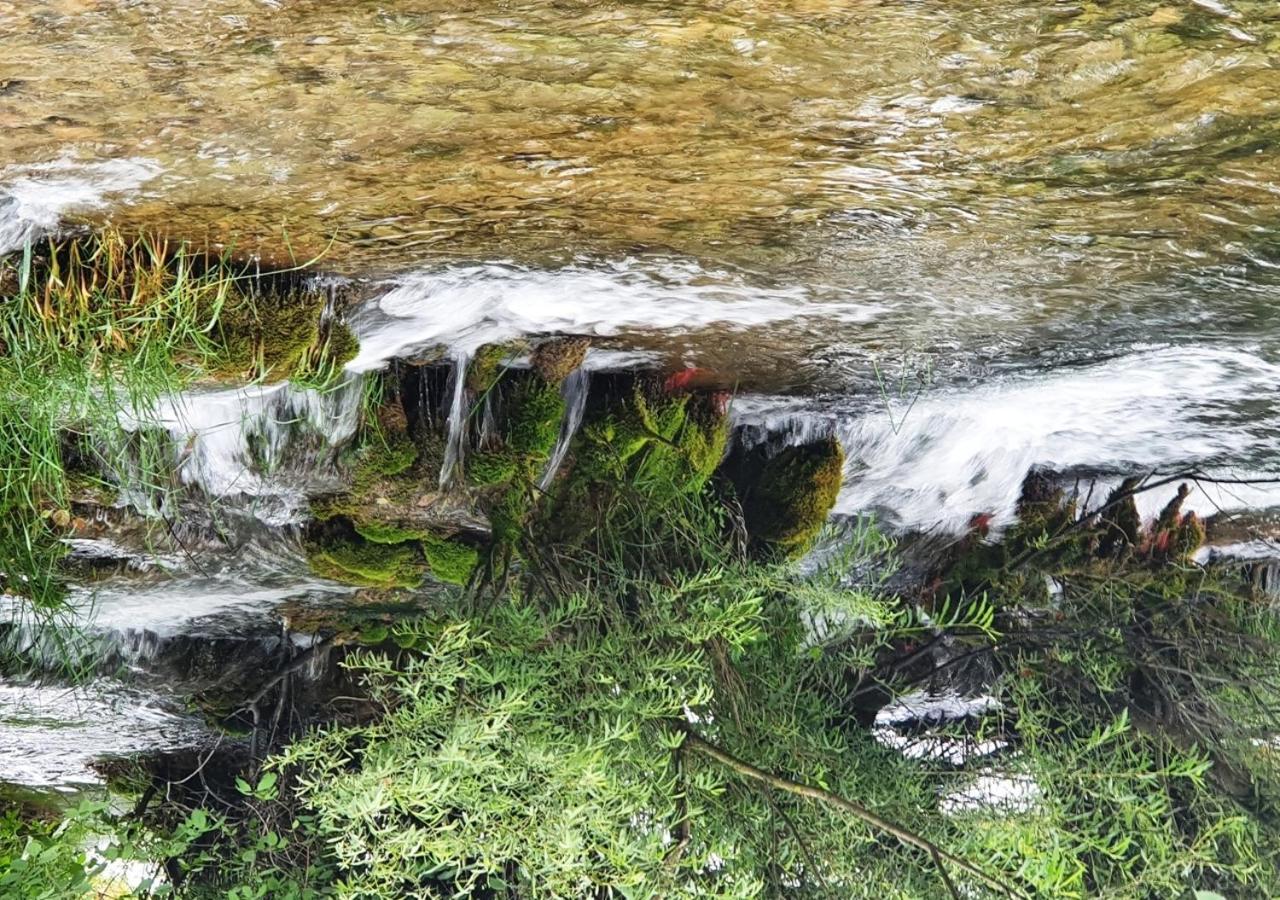 Green Eden Gornji Zvečaj Dış mekan fotoğraf