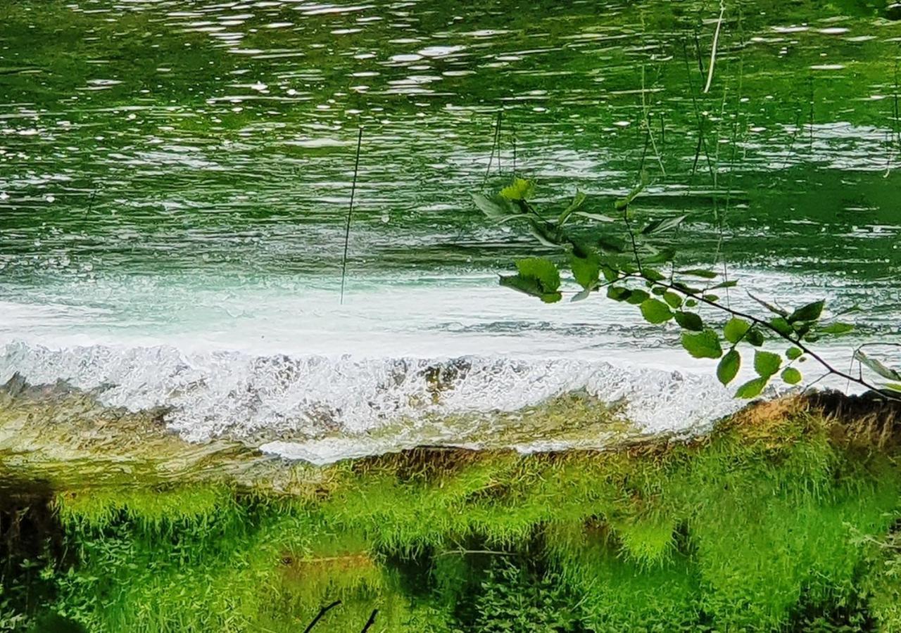 Green Eden Gornji Zvečaj Dış mekan fotoğraf