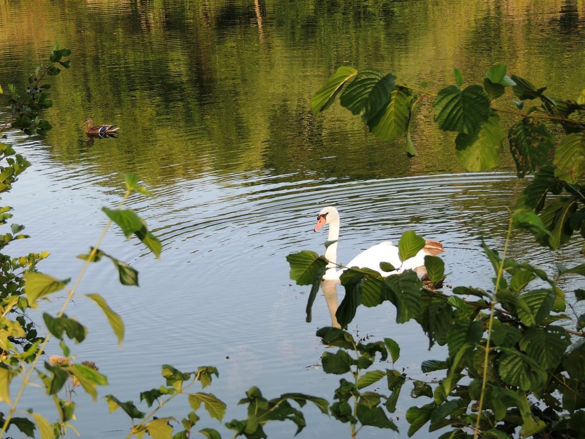 Green Eden Gornji Zvečaj Dış mekan fotoğraf