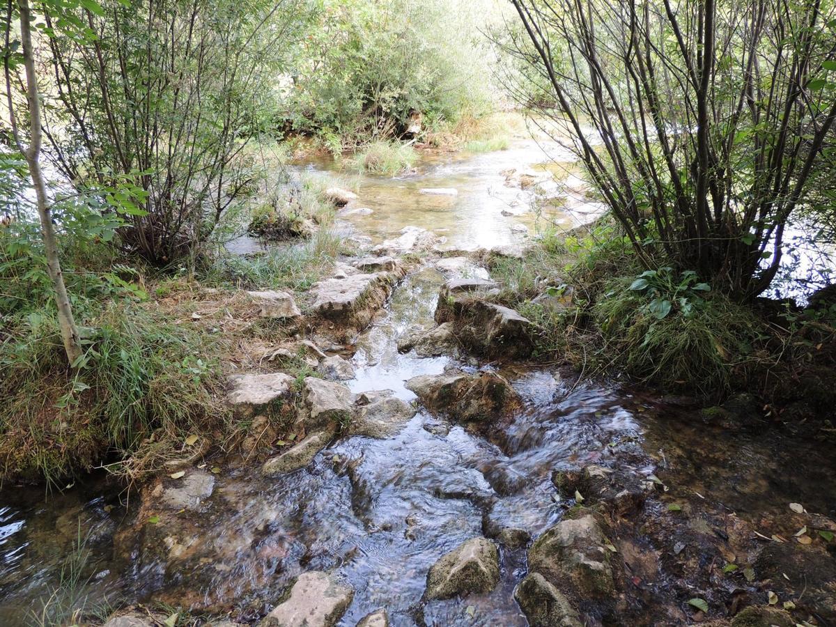 Green Eden Gornji Zvečaj Dış mekan fotoğraf